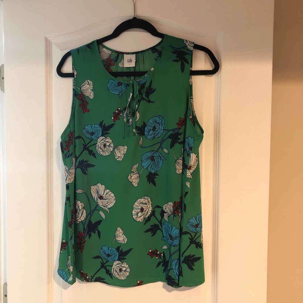 CAbi primrose top
